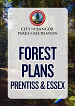 forest plans
