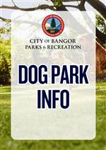 Dog Park 