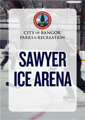 Sawyer Ice Arena Button