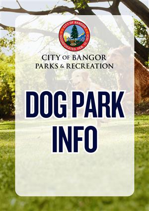 Dog Park 