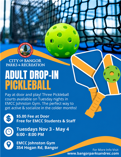 Adult Drop In Pickleball