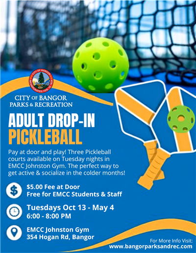 Adult Drop In Pickleball