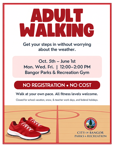 Adult Walking Flyer