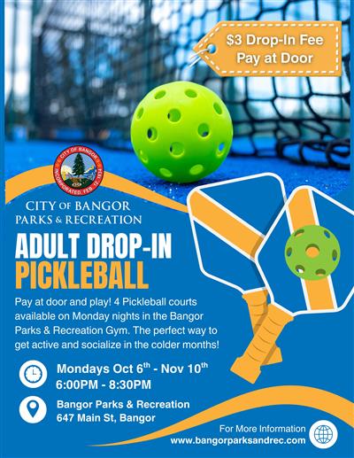 Pickleball