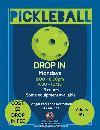 Drop In Pickleball