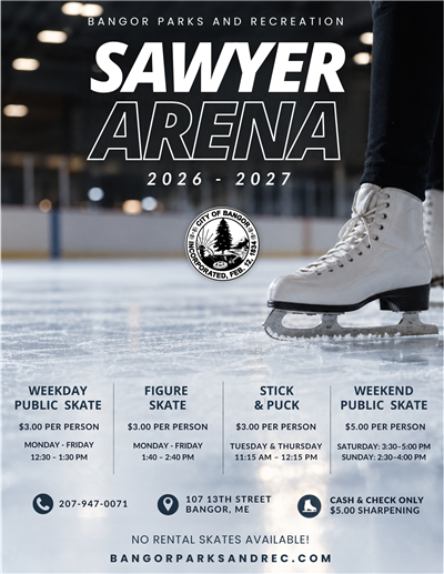 Public Skate