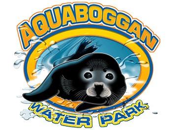 Aquaboggan